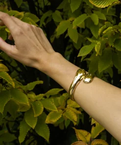 Alternative view of Seraphi